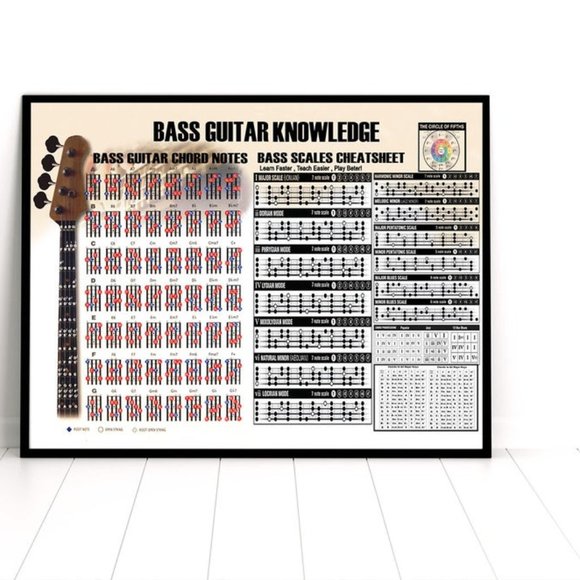 Bass Guitar Knowledge Satin Poster No Frame 18x12 - Picture 1 of 1